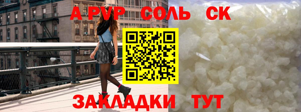 A PVP СК КРИС Долгопрудный