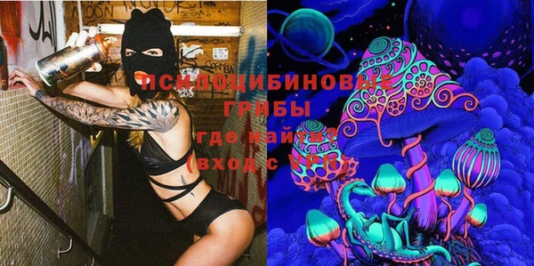 apvp Саки
