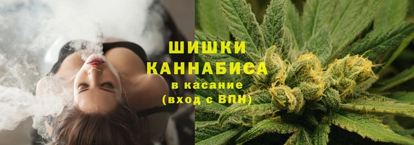 ALPHA PVP Бердск