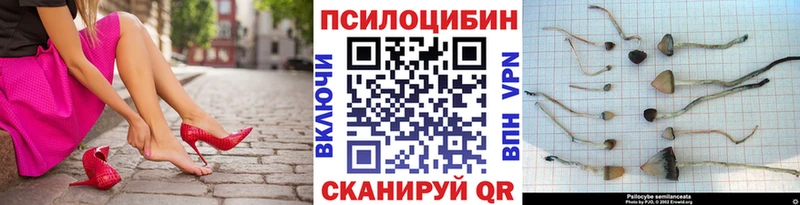 Псилоцибиновые грибы мицелий  хочу наркоту  Долгопрудный 
