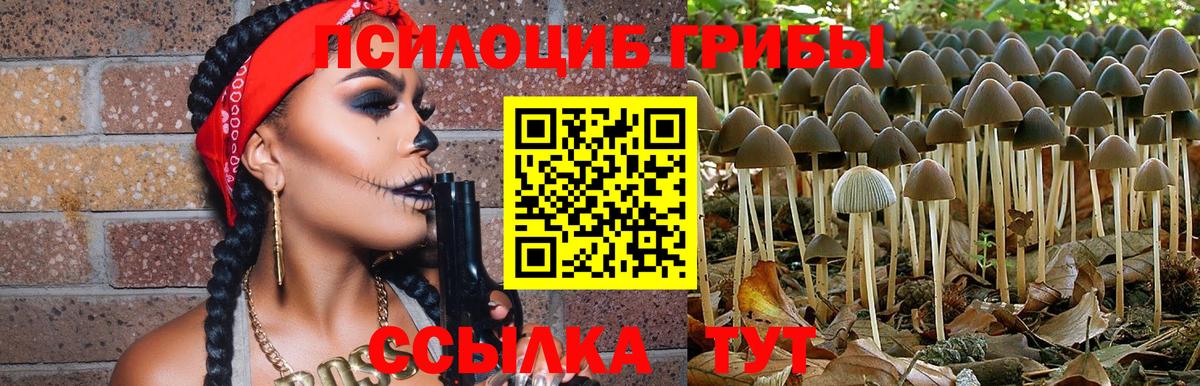 Псилоцибиновые грибы MAGIC MUSHROOMS  что такое   Долгопрудный  Псилоцибиновые грибы Cubensis  Вход с VPN 